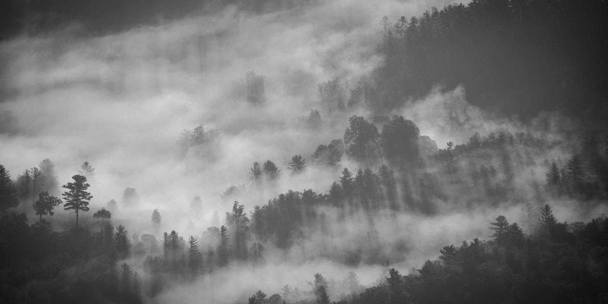 From Flash Floods to Hollywood: How Extreme Weather is Radically Reshaping Modern Pop Culture and Media Narratives